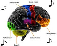 Lire la suite à propos de l’article La Musique Favorise le Développement Cérébral de l’Enfant