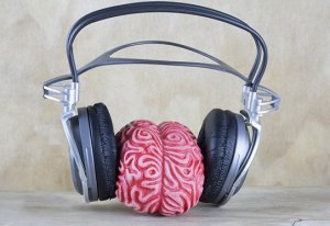 Lire la suite à propos de l’article Le cortex moteur aide à mieux entendre