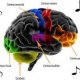 La Musique Favorise le Développement Cérébral de l’Enfant